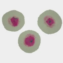 Coleman Mantles - 3 Pack